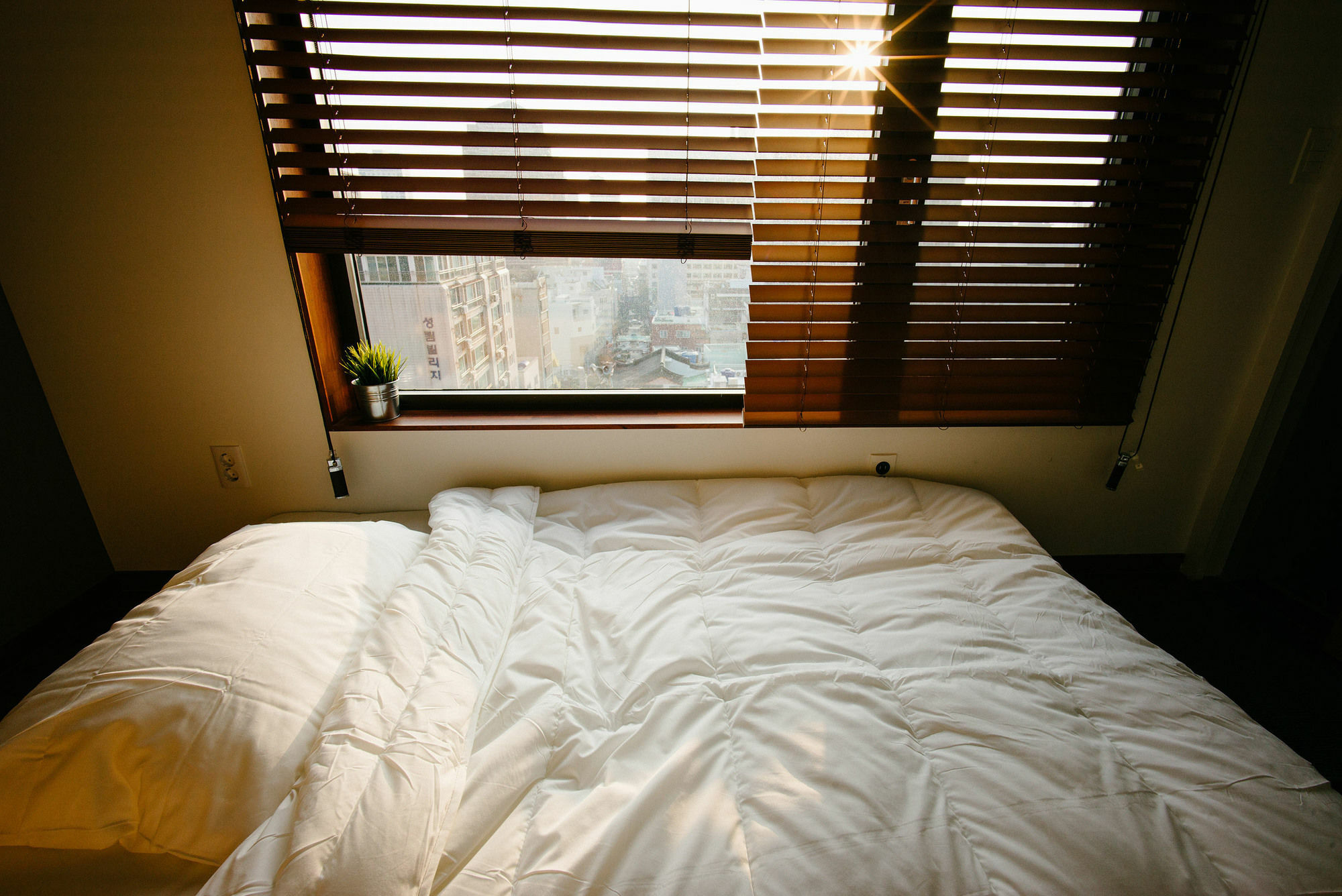 Morning Dew Guesthouse Busan Eksteriør bilde